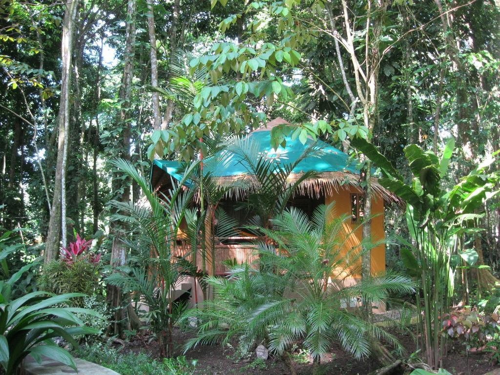Korrigan Lodge Cahuita Zimmer foto