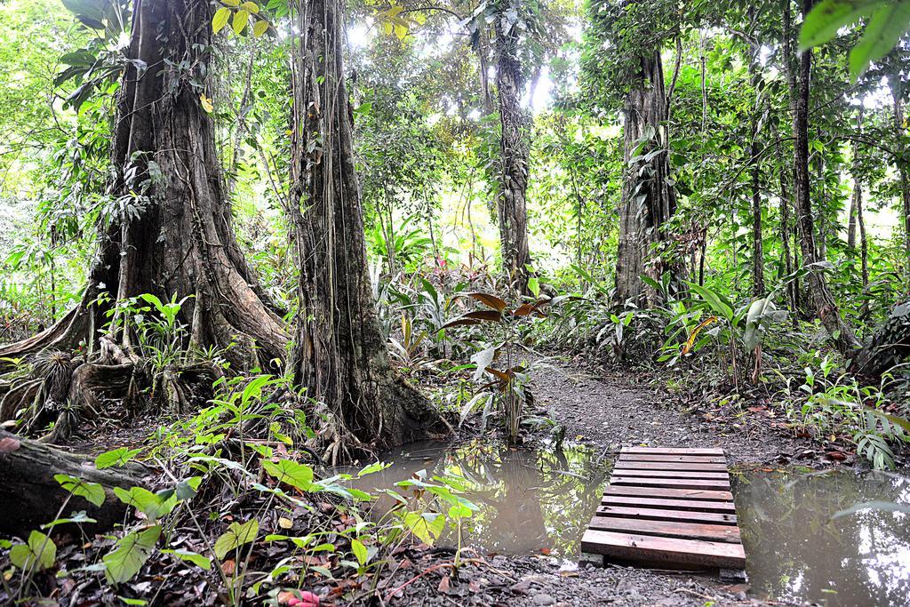 Korrigan Lodge Cahuita Exterior foto
